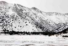 گزارش تصویری از یک روز برفی در شاهرود